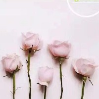 王yi一的个人文集
