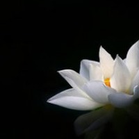 远山一墨的个人文集