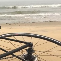 沈阳轮子的个人文集