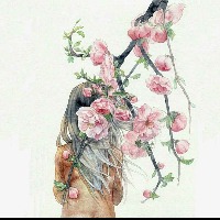 尼摩的个人文集