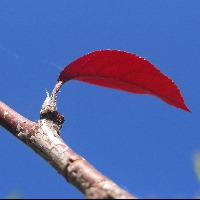 上善若水清风的个人文集