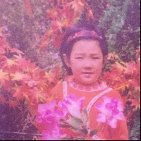 雁本慈的个人文集