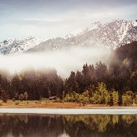 FORESTSTORY的个人文集