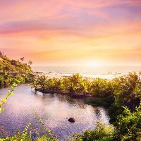 安吉的夏天的个人文集