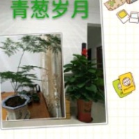 青葱岁月的个人文集
