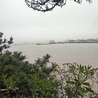 牛郎的个人文集