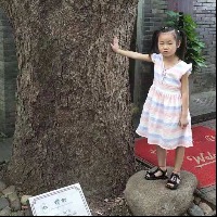 察态的个人文集