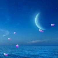 湛蓝需要鱼