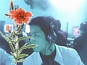 刘一瘦的个人文集