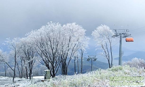 雪